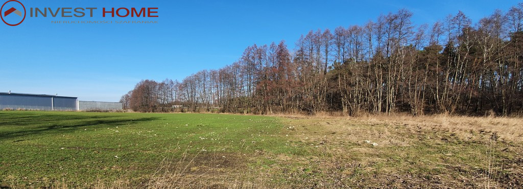 Działka Sprzedaż Starczanowo